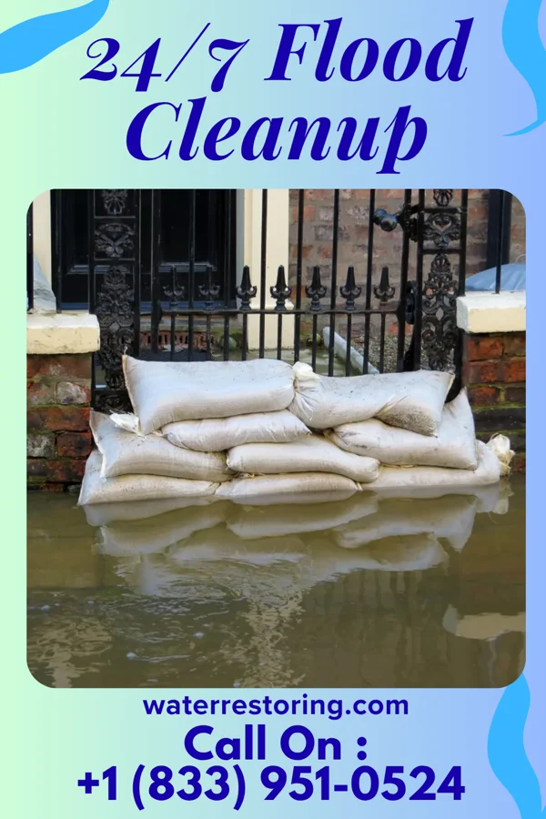 24/7 Flood Cleanup in Bloomingdale, IL