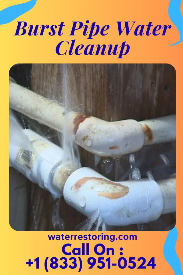 Burst Pipe Water Cleanup in Bloomingdale, IL