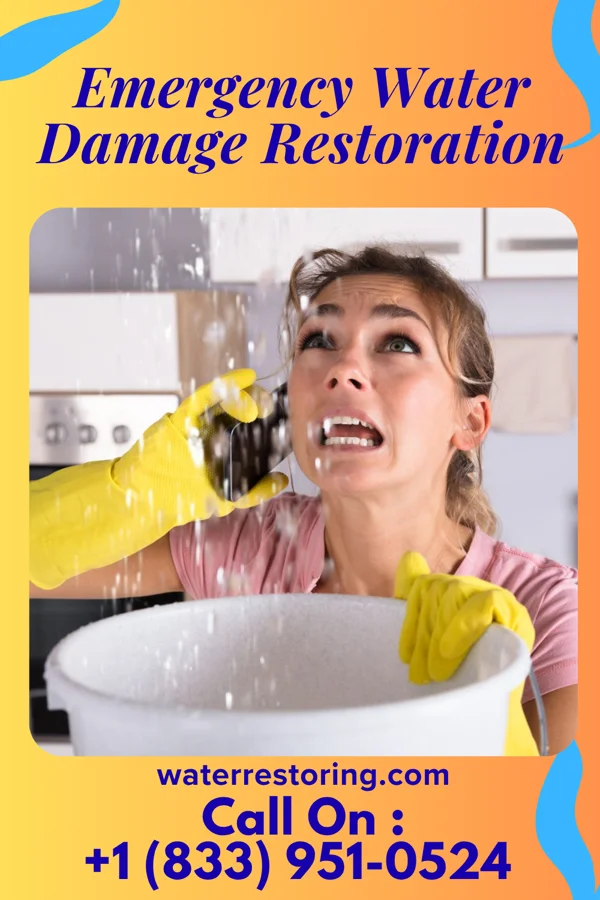 Emergency Water Damage Restoration in Bloomingdale, IL